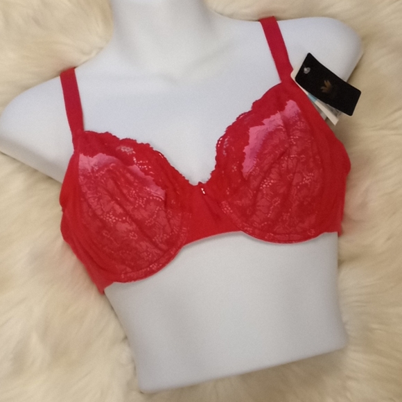 Wacoal Lace & Mesh Pinks Bra - Picture 11 of 16